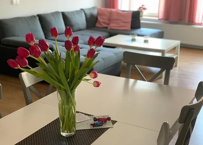 Apartament Zofia